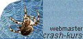 Crash-Kurs Webmaster